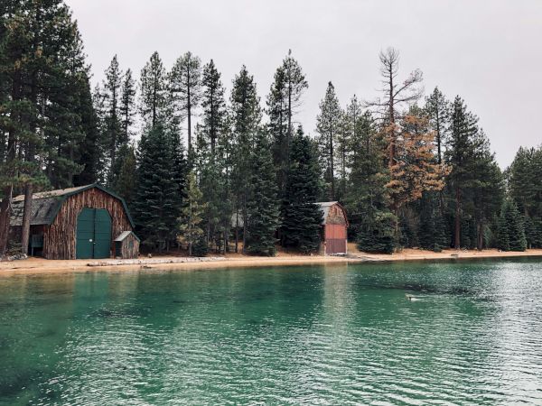 A tranquil lake with clear green water, surrounded by tall evergreen trees, and two rustic wooden cabins on the shoreline.