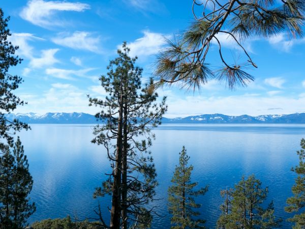 A scenic view of a lake with pine trees in the foreground, mountains in the distance, and a partly cloudy sky reflecting on the water.